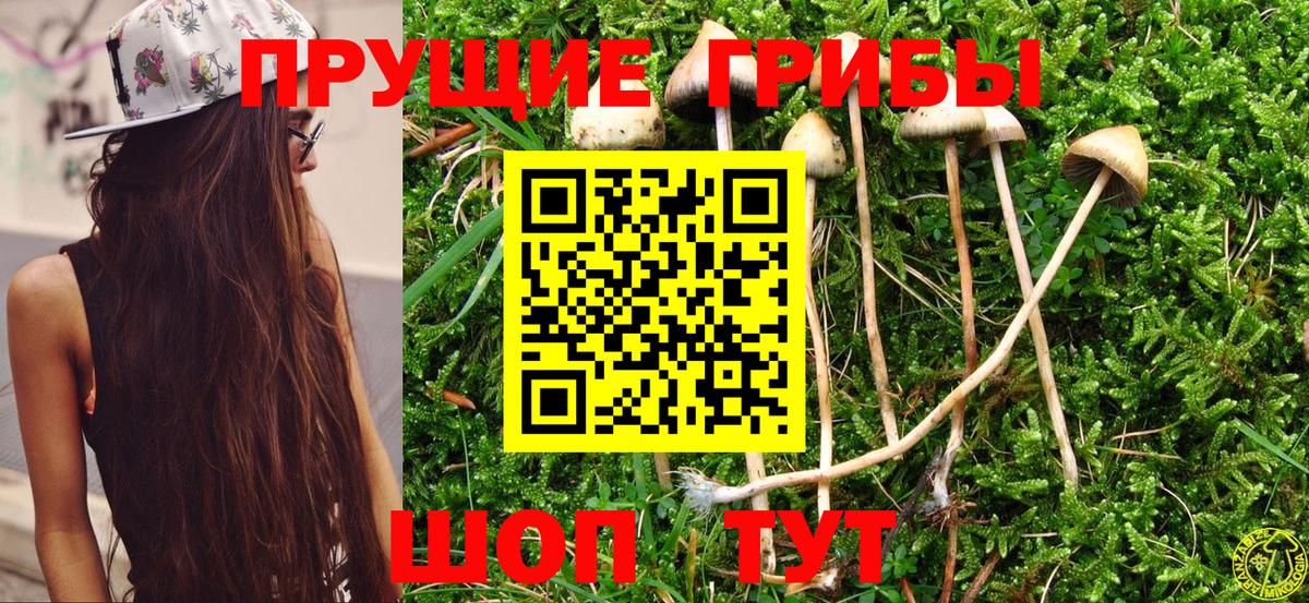 Псилоцибиновые грибы мицелий  Вход с VPN  Вятские Поляны 