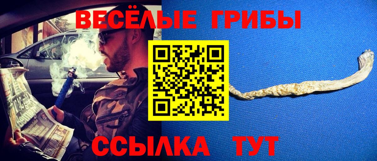 Галлюциногенные грибы Cubensis Вятские Поляны